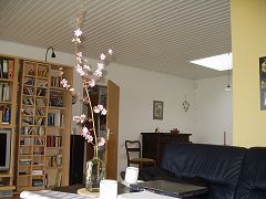 Wohnraum